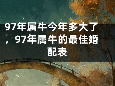 97年属牛今年多大了，97年属牛的最佳婚配表