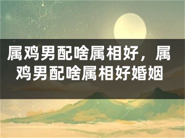 属鸡男配啥属相好，属鸡男配啥属相好婚姻