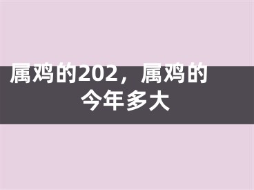 属鸡的202，属鸡的今年多大