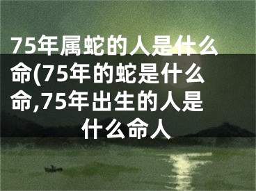 75年属蛇的人是什么命(75年的蛇是什么命,75年出生的人是什么命人