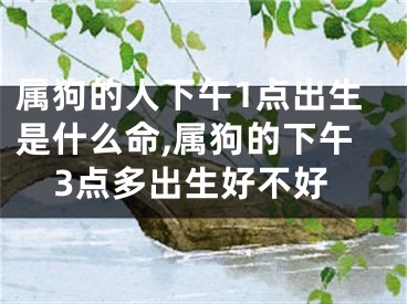 属狗的人下午1点出生是什么命,属狗的下午3点多出生好不好