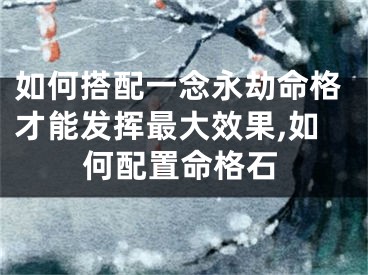 如何搭配一念永劫命格才能发挥最大效果,如何配置命格石