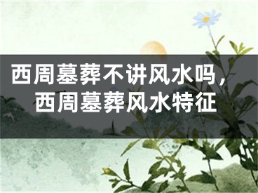 西周墓葬不讲风水吗，西周墓葬风水特征