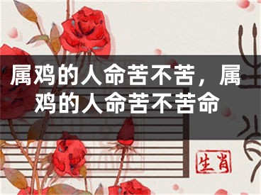 属鸡的人命苦不苦，属鸡的人命苦不苦命