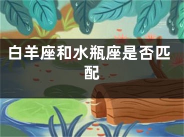 白羊座和水瓶座是否匹配
