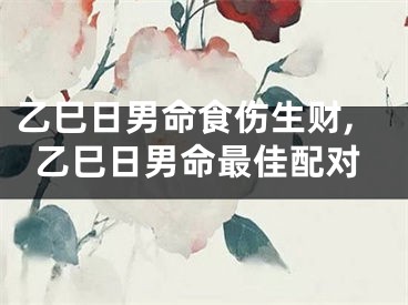乙巳日男命食伤生财,乙巳日男命最佳配对