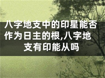 八字地支中的印星能否作为日主的根,八字地支有印能从吗