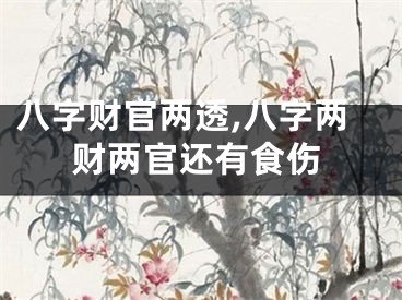 八字财官两透,八字两财两官还有食伤