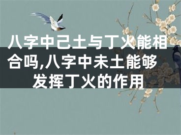 八字中己土与丁火能相合吗,八字中未土能够发挥丁火的作用