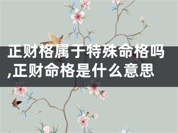 正财格属于特殊命格吗,正财命格是什么意思