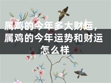 属鸡的今年多大财运，属鸡的今年运势和财运怎么样