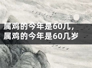 属鸡的今年是60几，属鸡的今年是60几岁