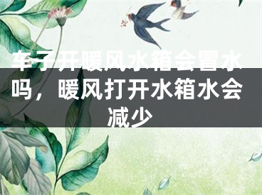 车子开暖风水箱会冒水吗，暖风打开水箱水会减少