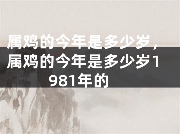 属鸡的今年是多少岁，属鸡的今年是多少岁1981年的