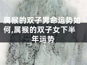 属猴的双子男命运势如何,属猴的双子女下半年运势