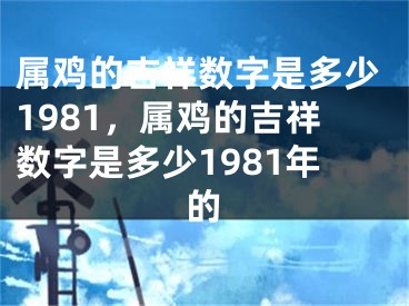 属鸡的吉祥数字是多少1981，属鸡的吉祥数字是多少1981年的