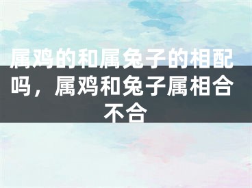 属鸡的和属兔子的相配吗，属鸡和兔子属相合不合