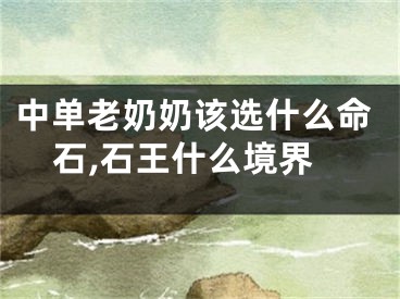中单老奶奶该选什么命石,石王什么境界