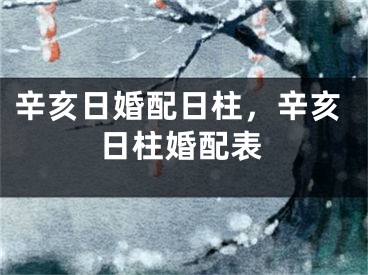 辛亥日婚配日柱，辛亥日柱婚配表