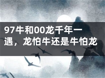97牛和00龙千年一遇，龙怕牛还是牛怕龙
