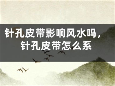 针孔皮带影响风水吗，针孔皮带怎么系