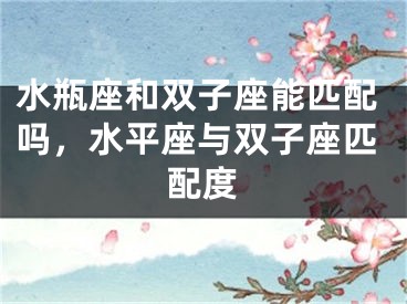 水瓶座和双子座能匹配吗，水平座与双子座匹配度