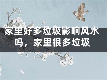 家里好多垃圾影响风水吗，家里很多垃圾