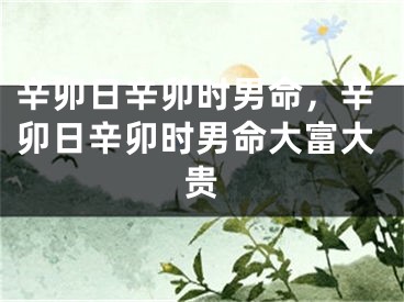 辛卯日辛卯时男命，辛卯日辛卯时男命大富大贵
