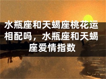 水瓶座和天蝎座桃花运相配吗，水瓶座和天蝎座爱情指数