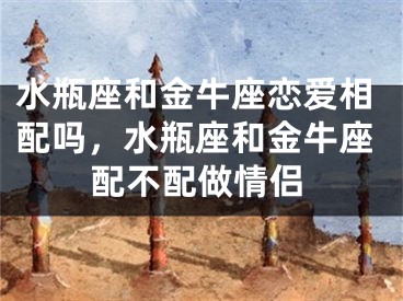 水瓶座和金牛座恋爱相配吗，水瓶座和金牛座配不配做情侣