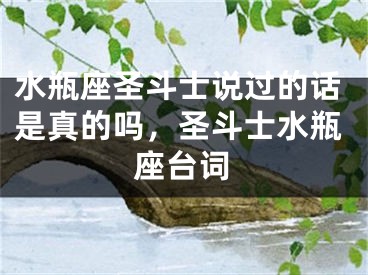 水瓶座圣斗士说过的话是真的吗，圣斗士水瓶座台词