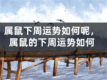 属鼠下周运势如何呢，属鼠的下周运势如何