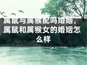 属鼠与属猴配吗婚姻，属鼠和属猴女的婚姻怎么样