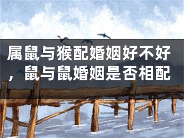 属鼠与猴配婚姻好不好，鼠与鼠婚姻是否相配