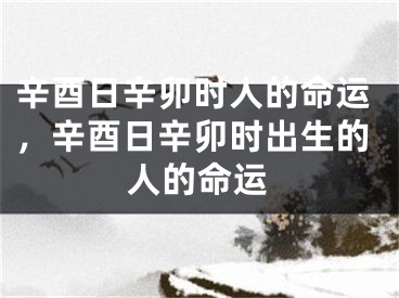 辛酉日辛卯时人的命运，辛酉日辛卯时出生的人的命运