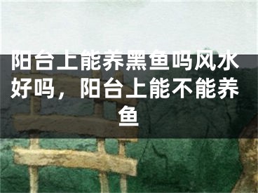 阳台上能养黑鱼吗风水好吗，阳台上能不能养鱼
