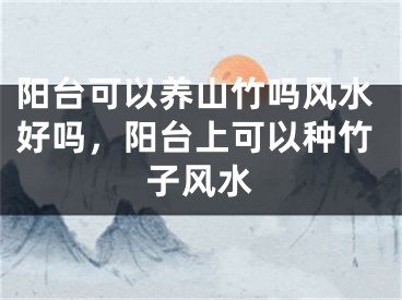 阳台可以养山竹吗风水好吗，阳台上可以种竹子风水