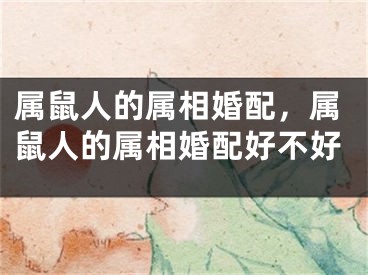 属鼠人的属相婚配,属鼠人的属相婚配好不好