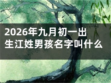 2026年九月初一出生江姓男孩名字叫什么