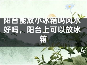 阳台能放小冰箱吗风水好吗,阳台上可以放冰箱