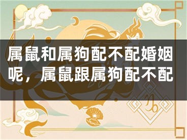 属鼠和属狗配不配婚姻呢,属鼠跟属狗配不配