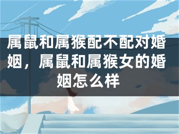 属鼠和属猴配不配对婚姻,属鼠和属猴女的婚姻怎么样