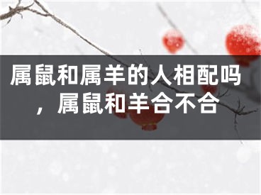 属鼠和属羊的人相配吗,属鼠和羊合不合
