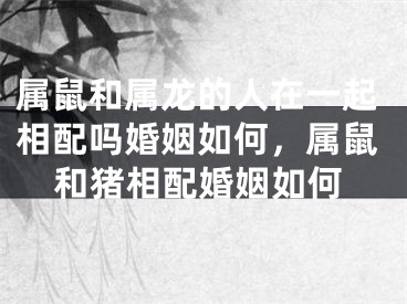 属鼠和属龙的人在一起相配吗婚姻如何,属鼠和猪相配婚姻如何