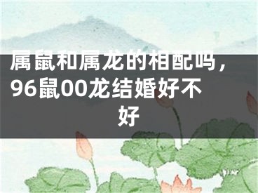 属鼠和属龙的相配吗,96鼠00龙结婚好不好