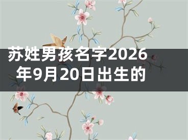 苏姓男孩名字2026年9月20日出生的