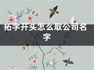 拓字开头怎么取公司名字