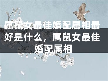 属鼠女最佳婚配属相最好是什么,属鼠女最佳婚配属相