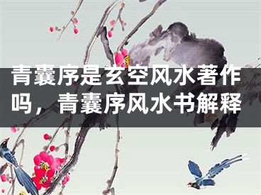 青囊序是玄空风水著作吗,青囊序风水书解释