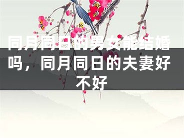 同月同日的男女能结婚吗,同月同日的夫妻好不好